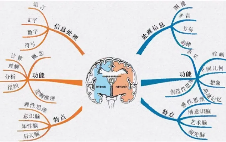 开云体育官方-麻省理工最新研究：父母多和娃聊天，能让大脑发育更好，更聪明